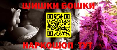 индика Краснознаменск