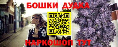 индика Краснознаменск