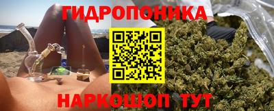 индика Краснознаменск